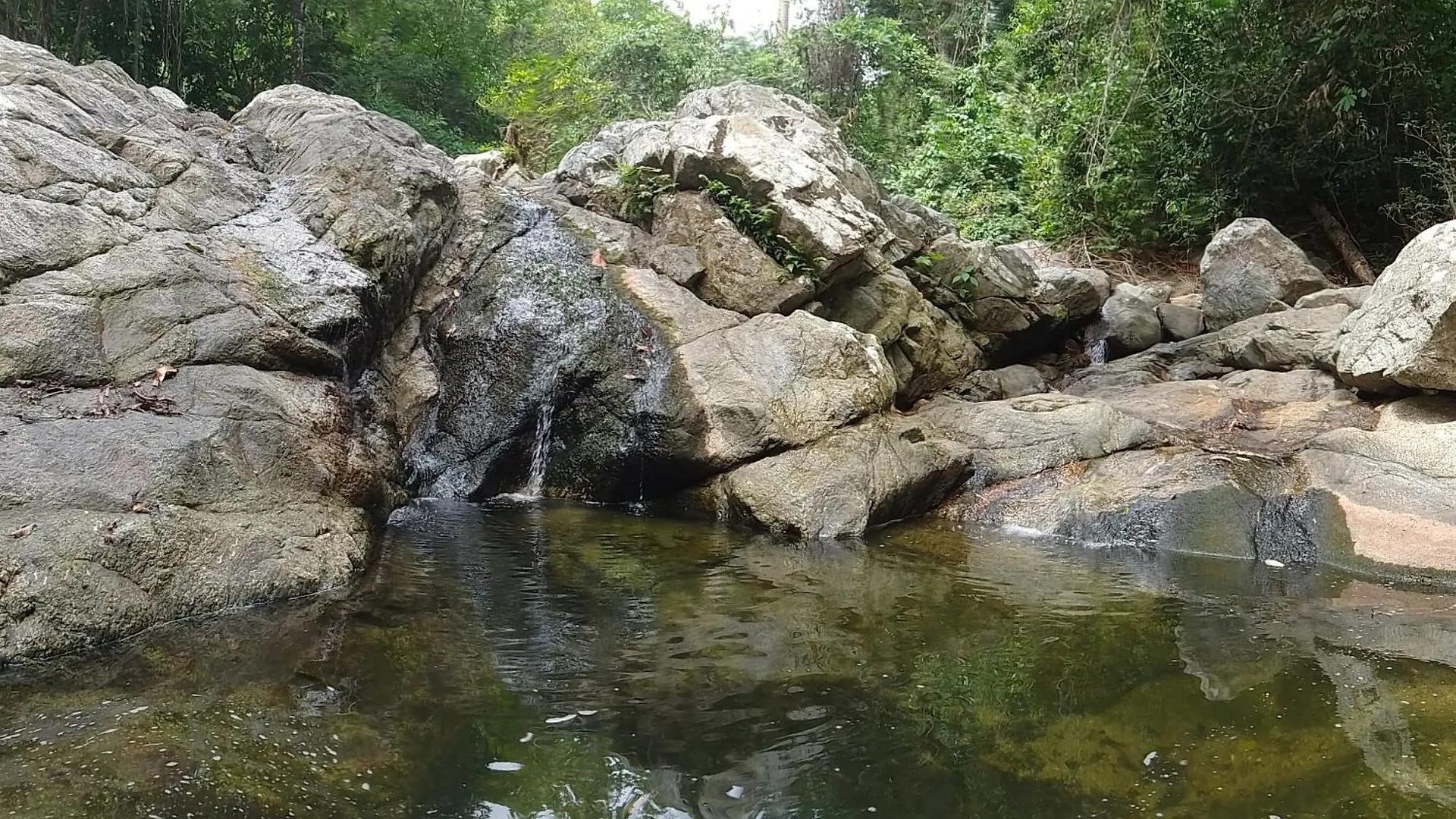 Ecocabanas Diosa Jaguar Tayrona La Esmeralda  Colombie