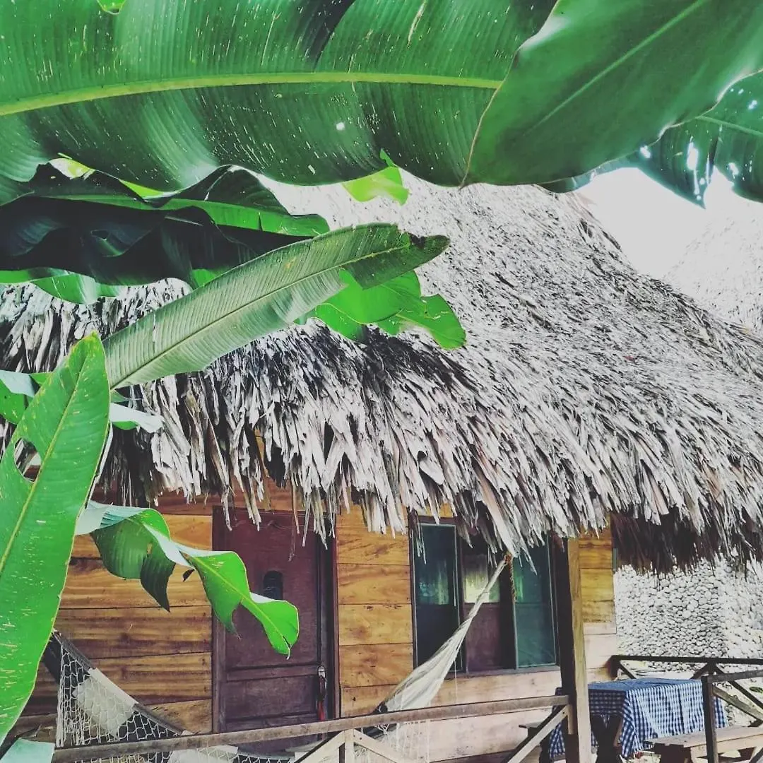 Maison d'hôtes Ecocabanas Diosa Jaguar Tayrona La Esmeralda