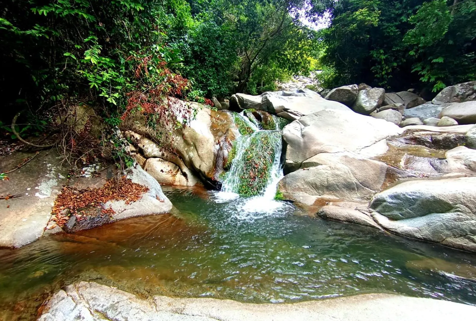 Ecocabanas Diosa Jaguar Tayrona La Esmeralda  0*, La Esmeralda (Magdalena) Colombie